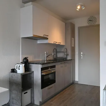 Apartment Orion Rs6 By Interhome Ovronnaz